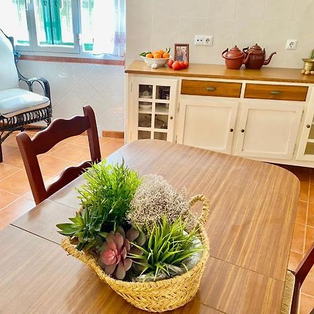 Casa Rural Manantial De Las Jaras Istán Εξωτερικό φωτογραφία