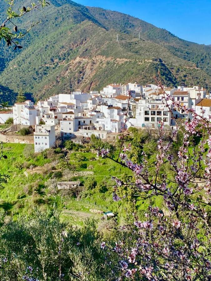Casa Rural Manantial De Las Jaras Istán Εξωτερικό φωτογραφία