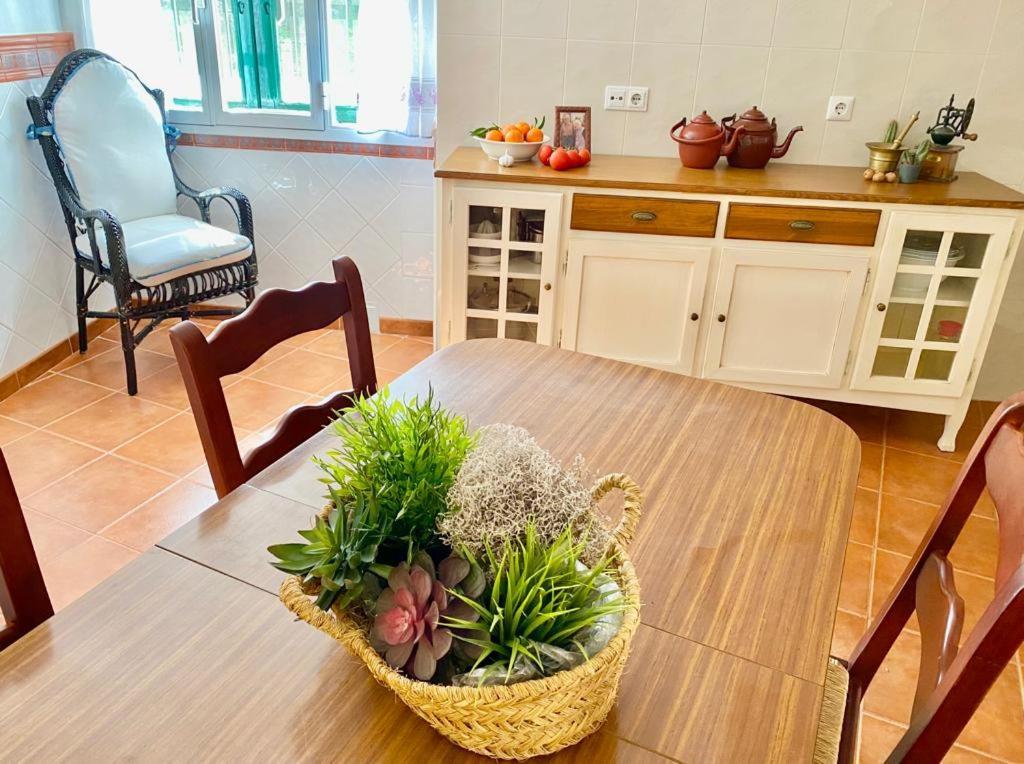 Casa Rural Manantial De Las Jaras Istán Εξωτερικό φωτογραφία